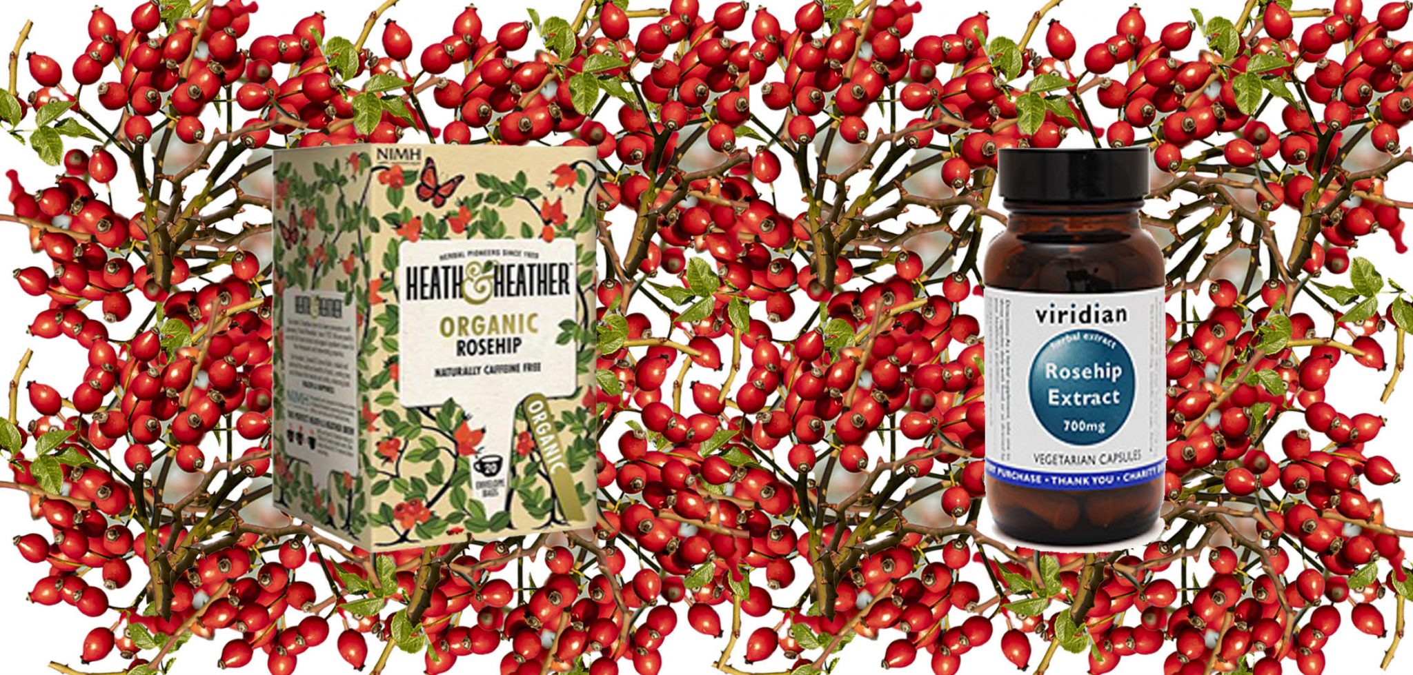 rosehip