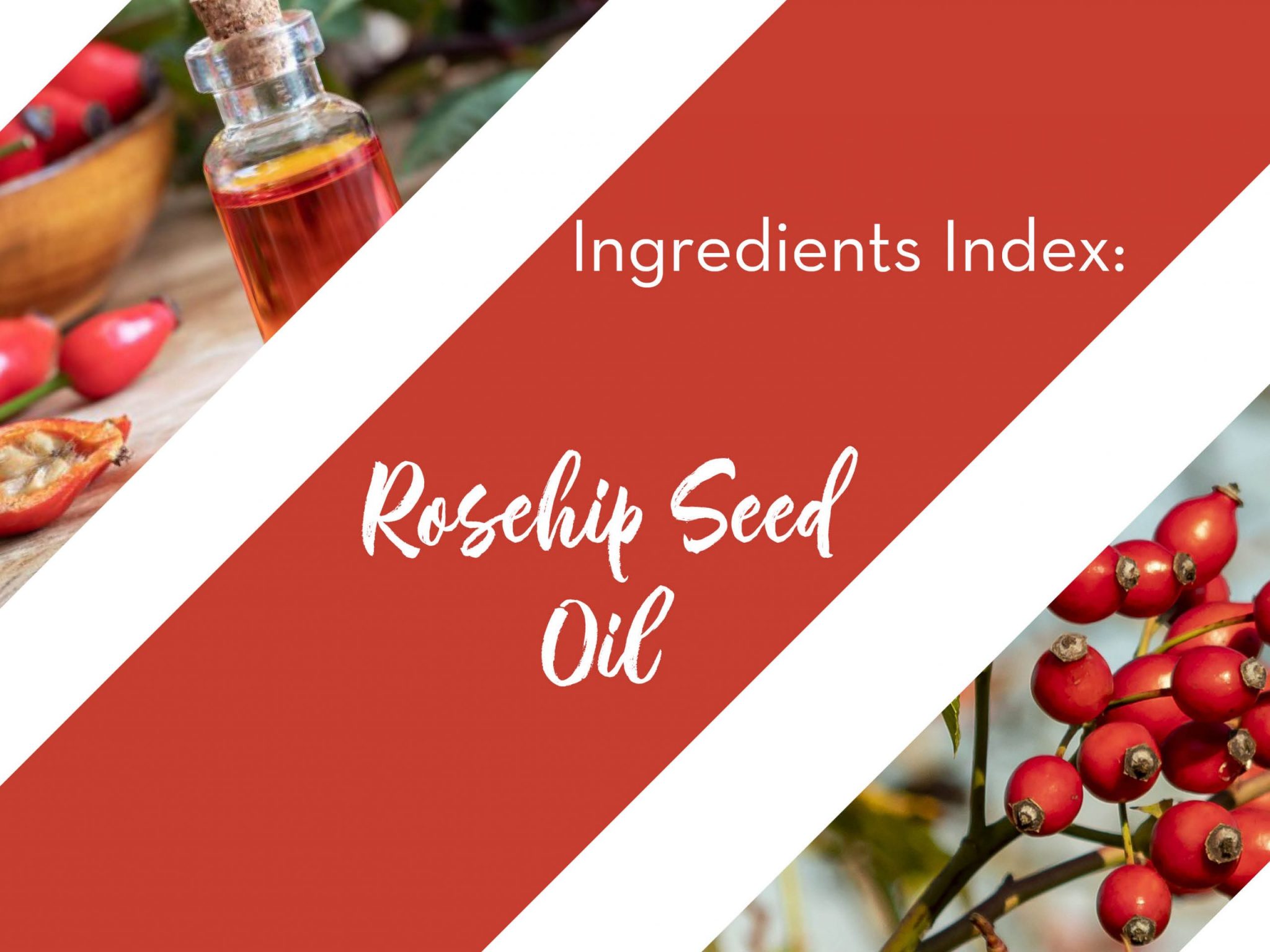 rosehip