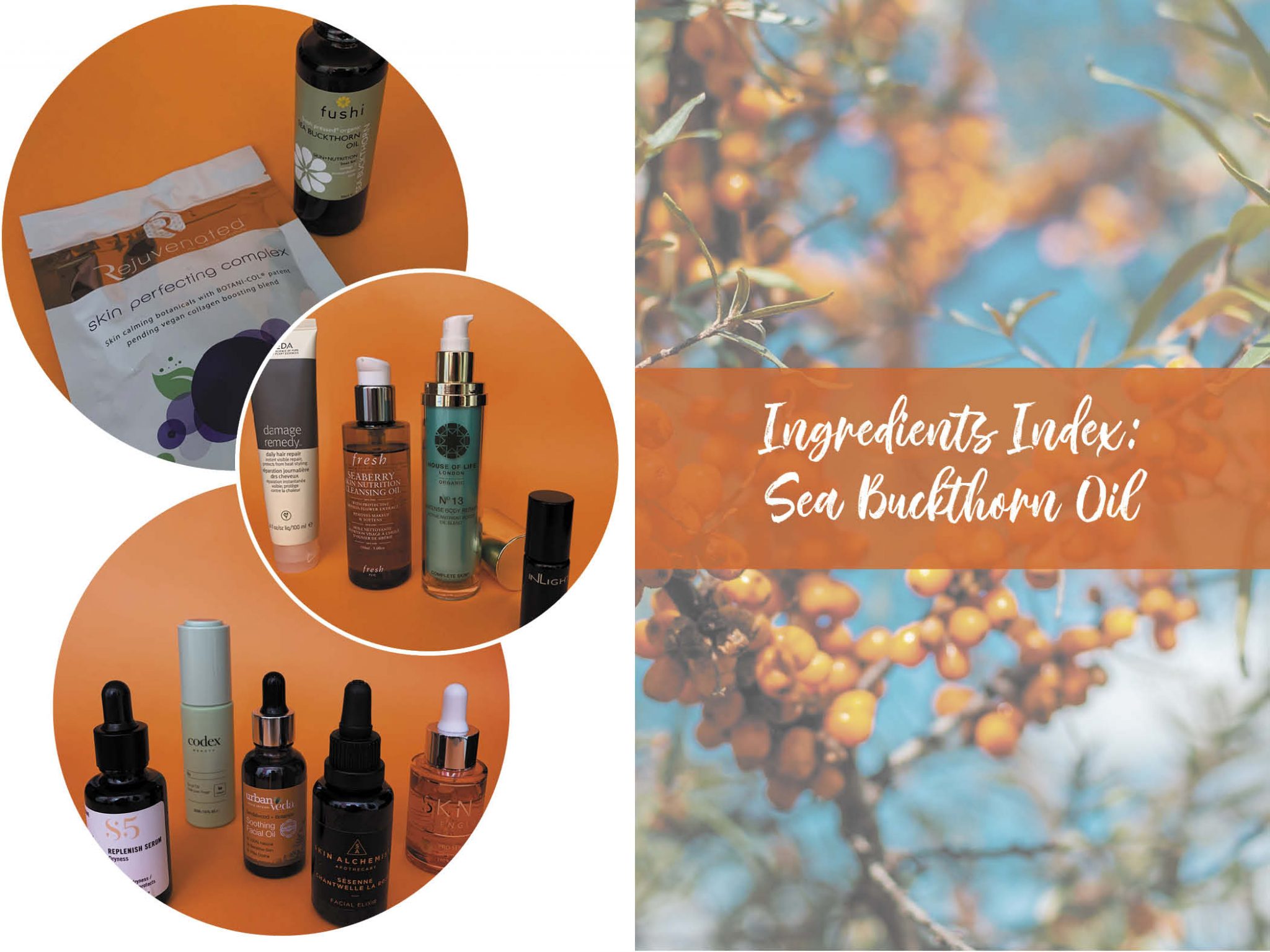 sea buckthorn oil