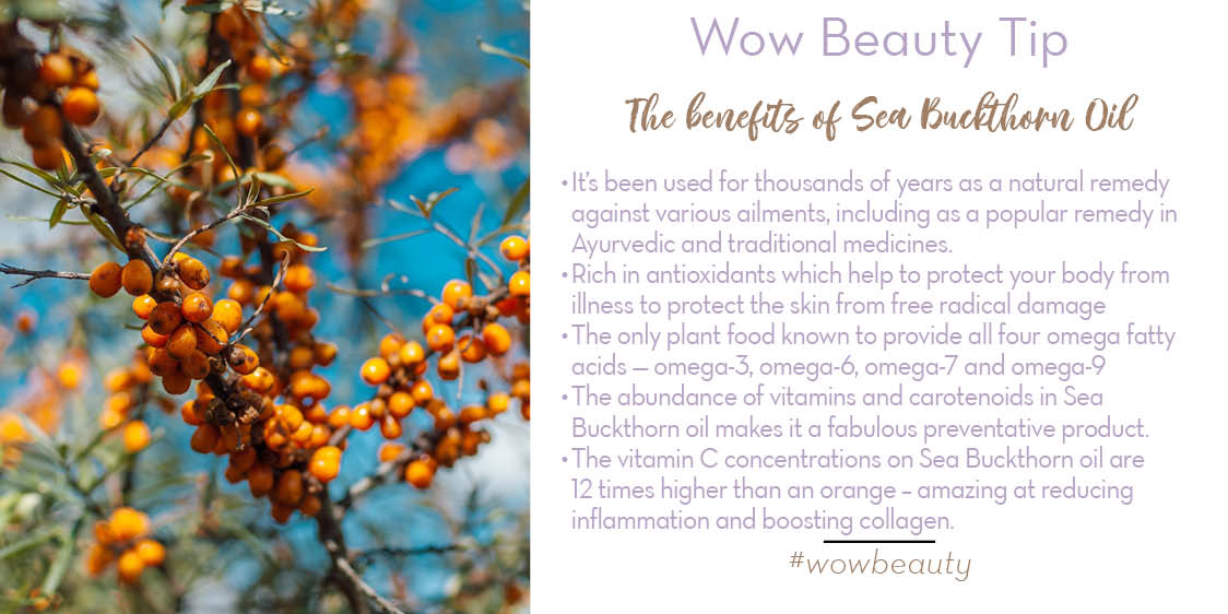 sea buckthorn