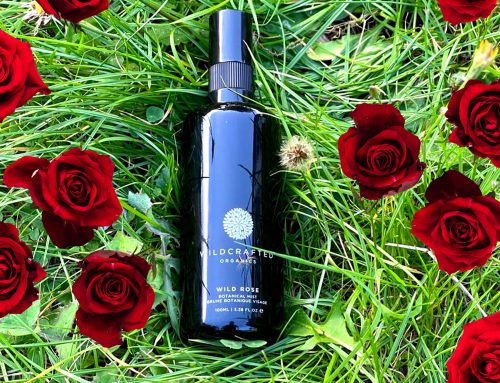 Loving the Wild Rose Mist by Wildcrafted Organics