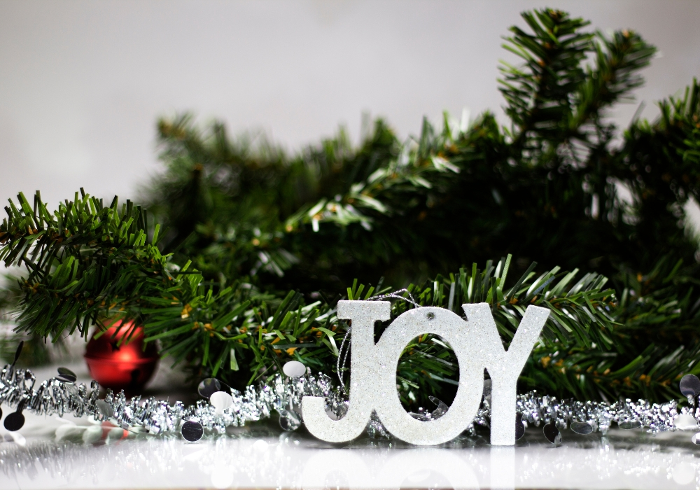 winter joy