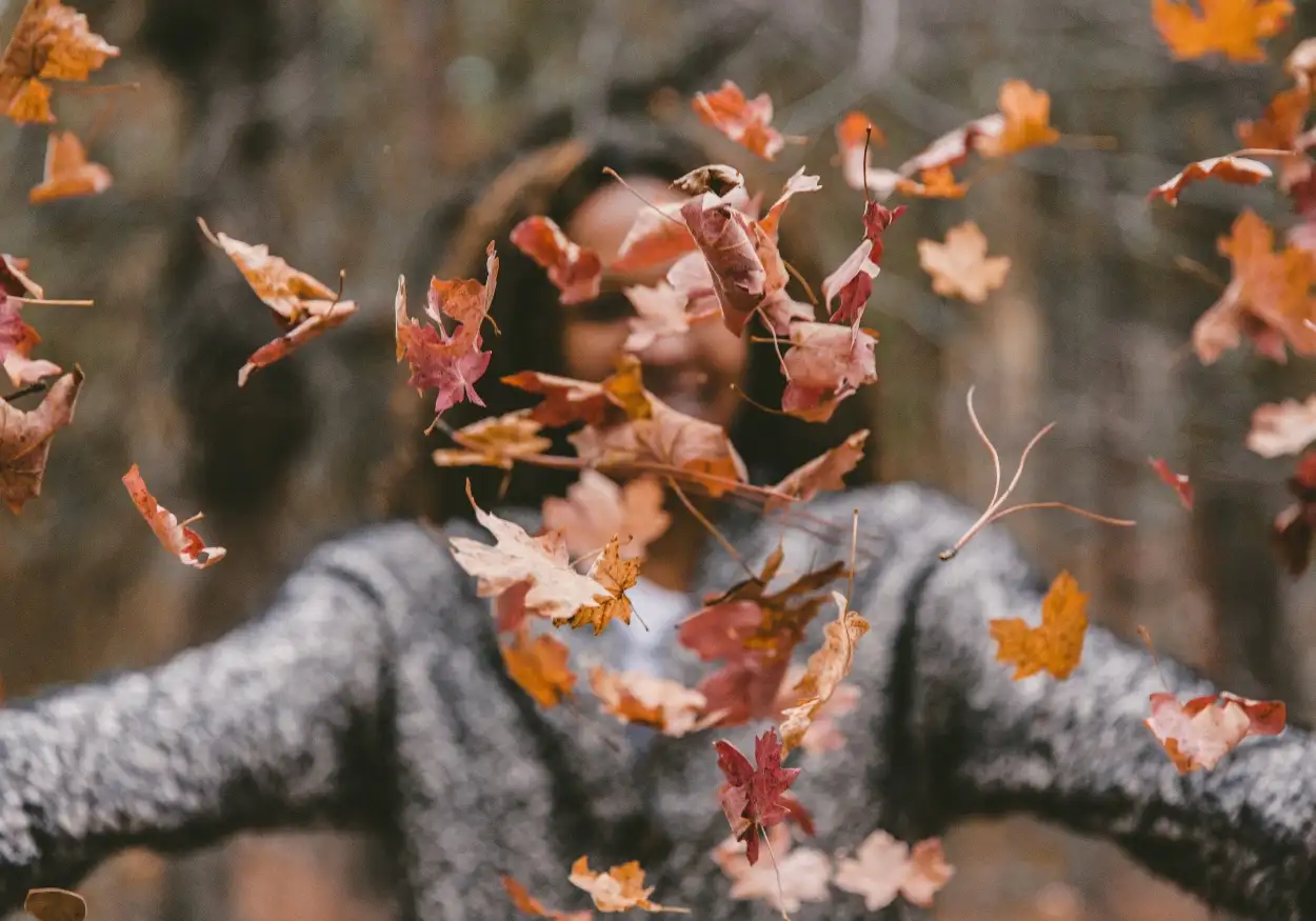 autumn