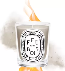 smokey diptique candle