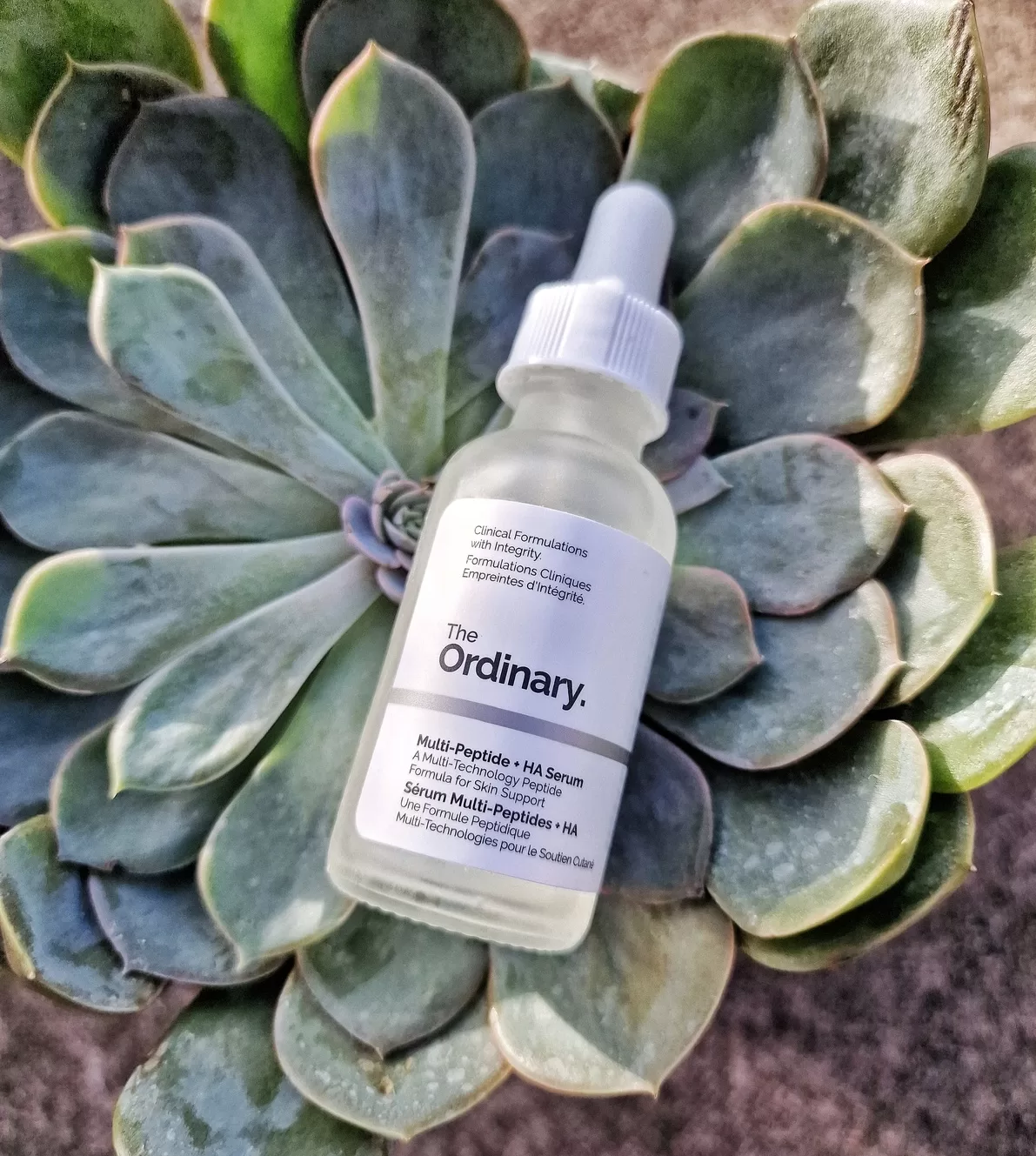 the ordinary multi peptide