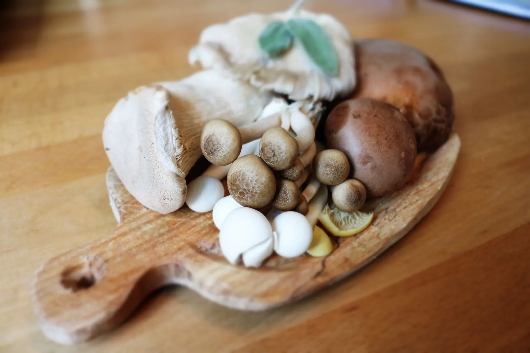 mushroom