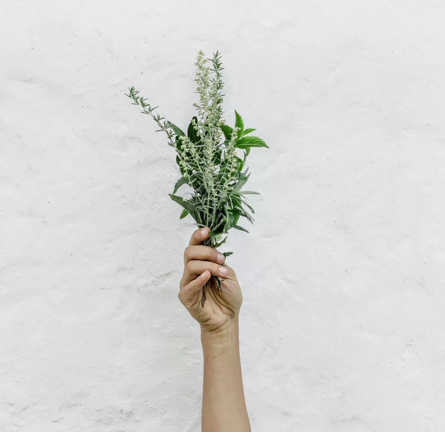 rosemary