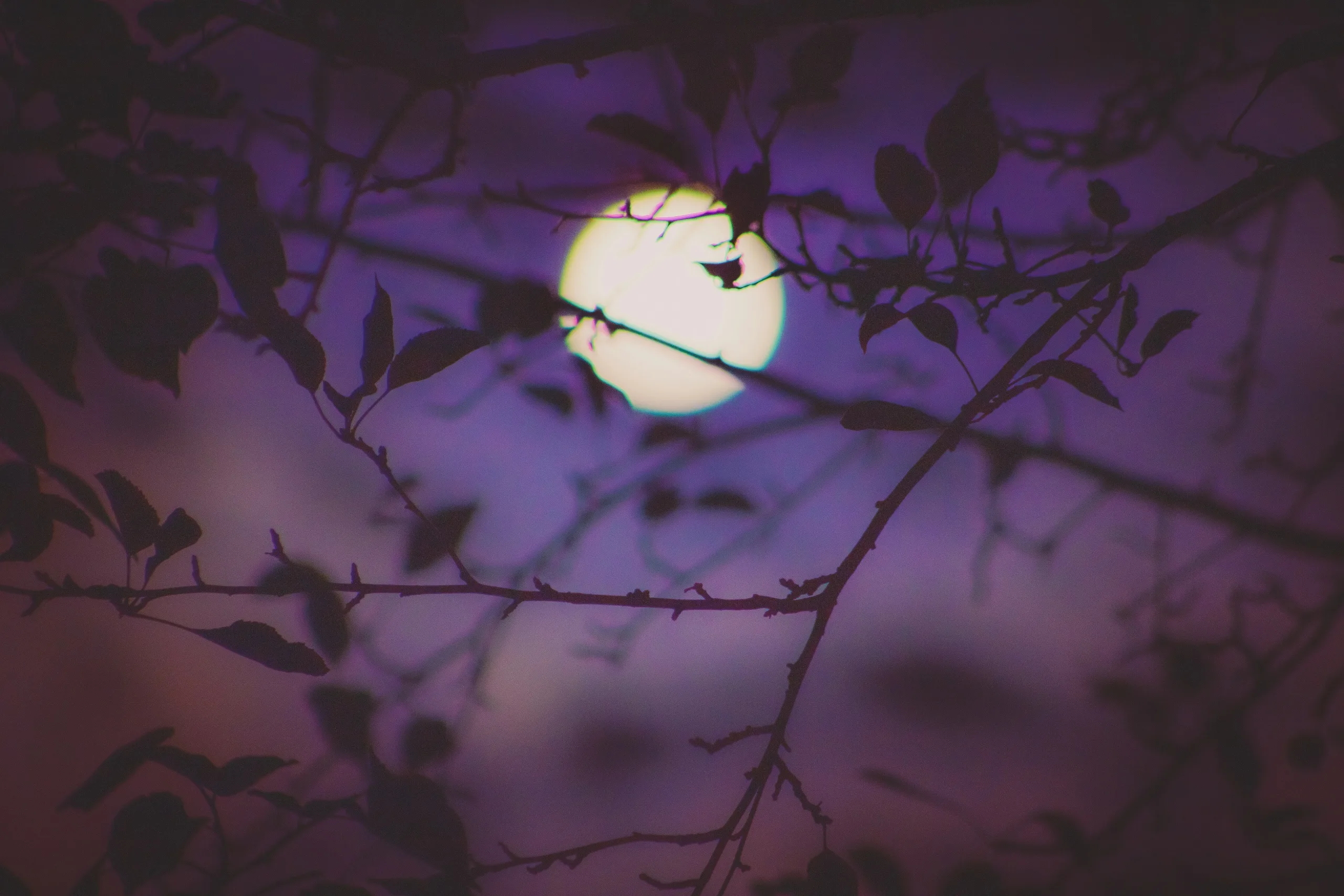 Preparing for the Full Moon and Harnessing its Energy